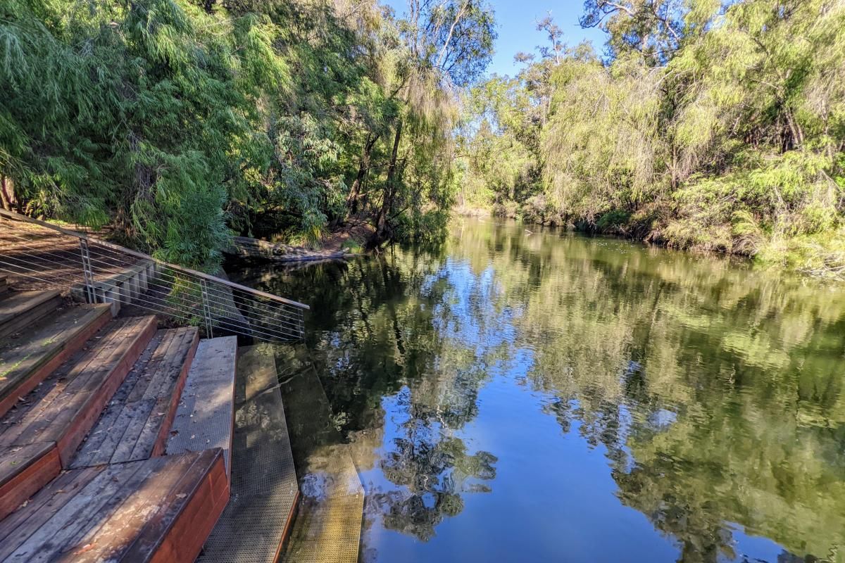 Scenic view of Honeymoon Pool in Wellington National Park near Collie, featuring calm water and lush green forest.