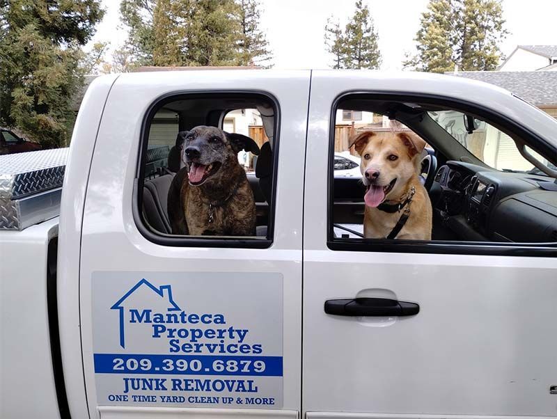 Top Rated Residential & Commercial Junk Removal Service