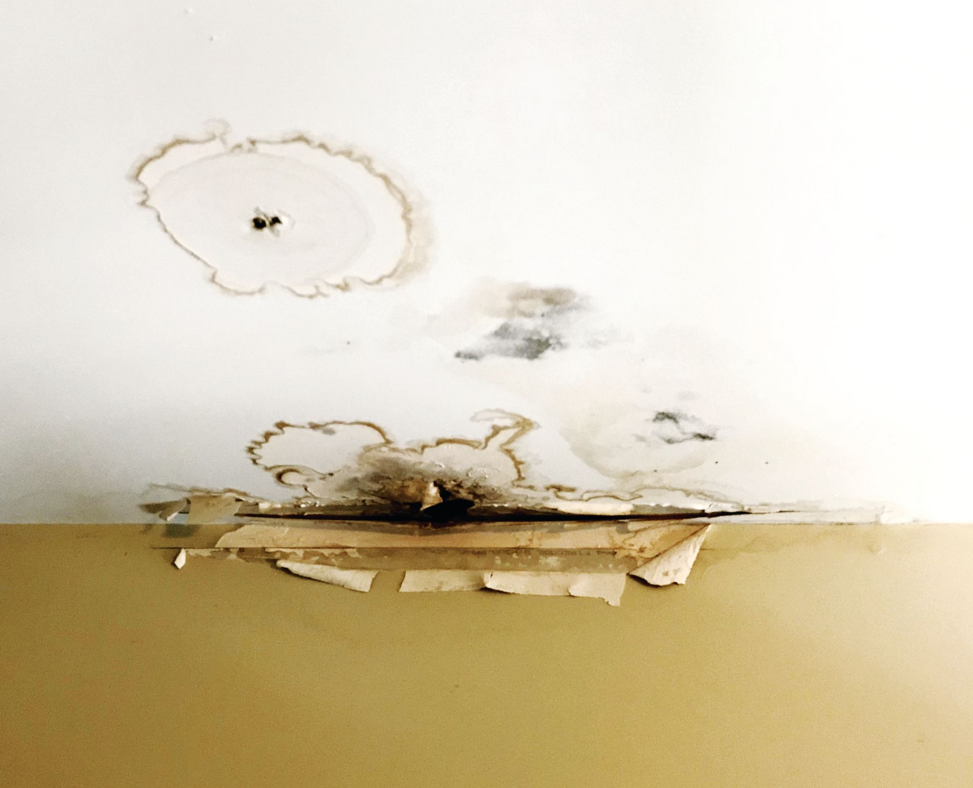 Water damage to ceiling  caused by leaking roof top door. Clark Street, Chicago. Building now dry.