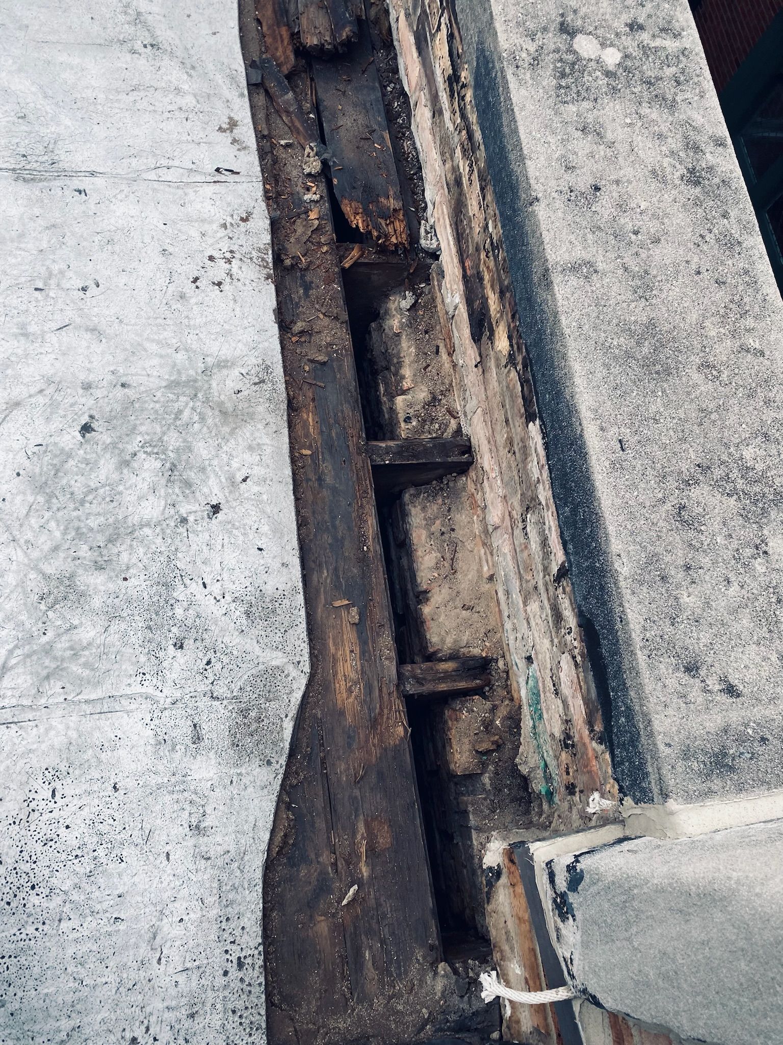 Wet and damaged wooden beam between concrete structure