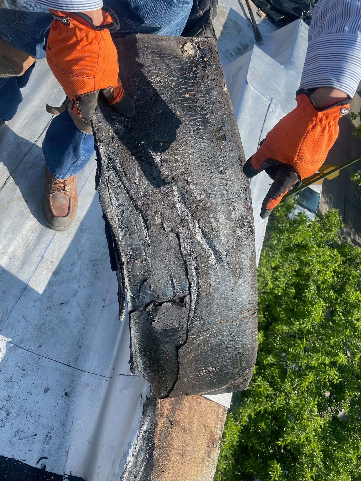 Worker showing a wet and damaged roof membrane