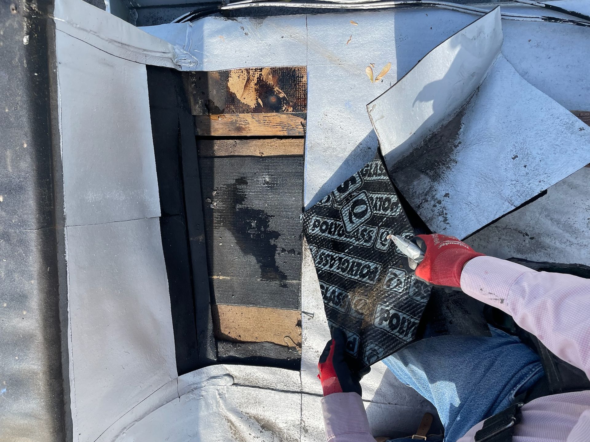 Worker showing Part of rooftop with removed membrane wet and damaged area