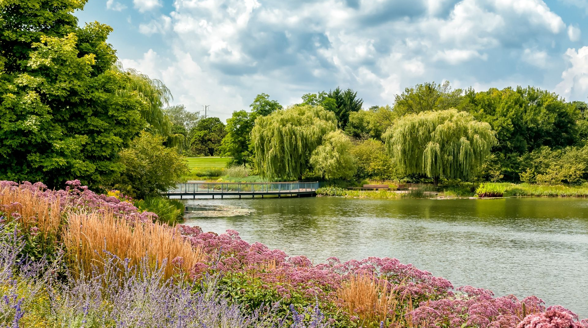 Colorful wildflowers along a pond with a small footbridge and lush green trees