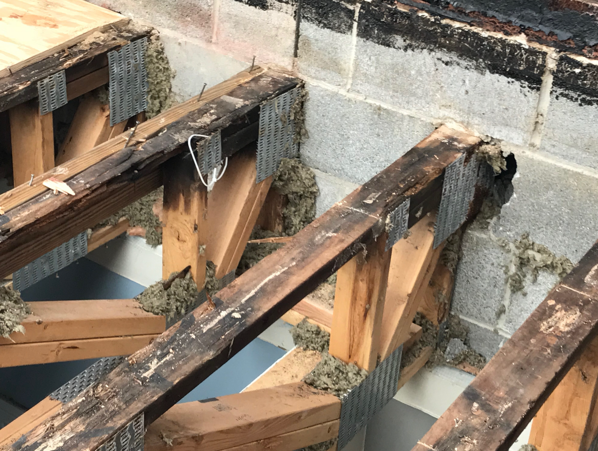Wet trusses embedded in concrete wall in Old Town, Chicago