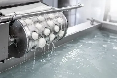 Settore Lattiero Caseario - Impianti inox per caseifici