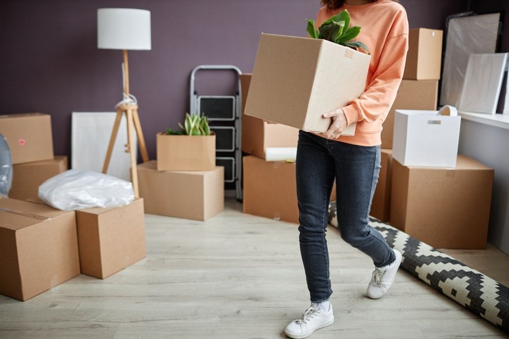 A Woman Is Carrying A Cardboard Box In A Room Filled With Cardboard Boxes — Newcastle Moving & Storage in Wallsend, NSW