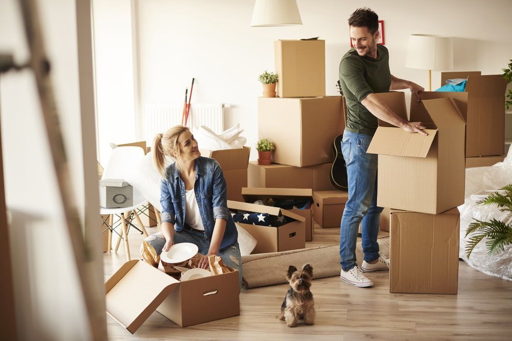 A Man And Woman Are Moving Into A New Home With Their Dog — Newcastle Moving & Storage in Morisset, NSW