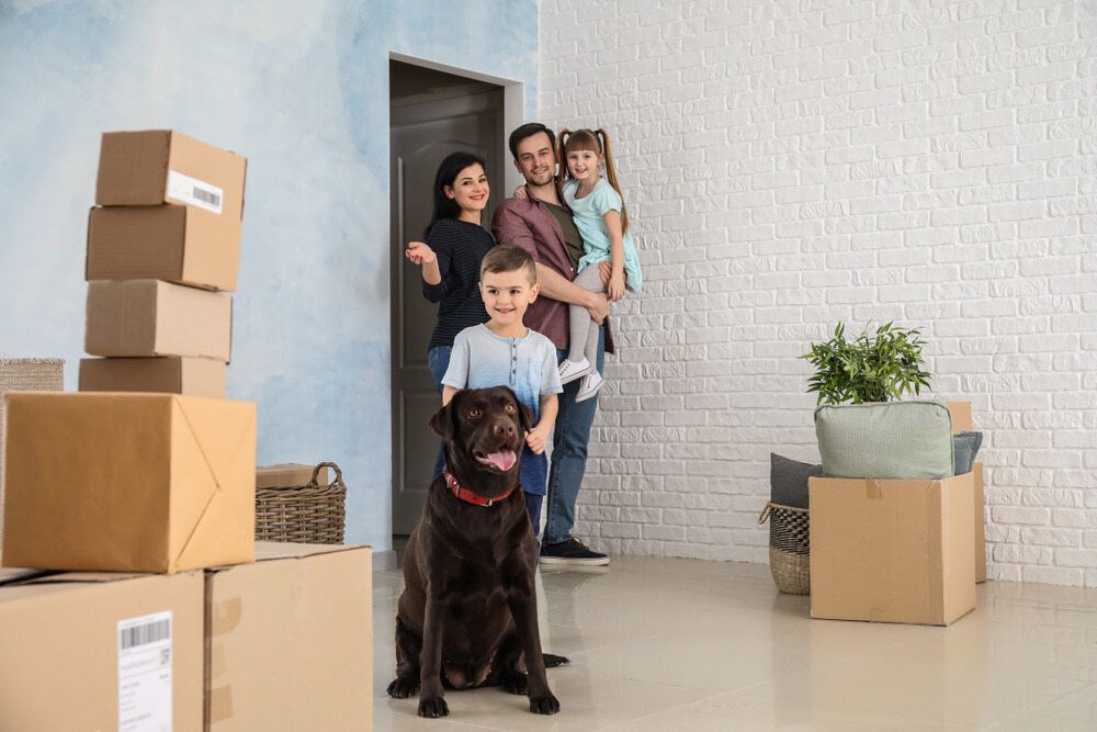 A Family Is Moving Into A New Home With Boxes And A Dog — Newcastle Moving & Storage in Toronto, NSW