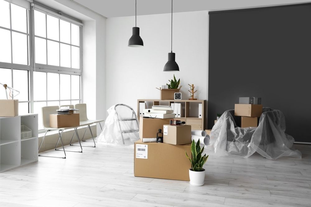 A Living Room Filled With Boxes And A Plant — Newcastle Moving & Storage in Salt Ash, NSW