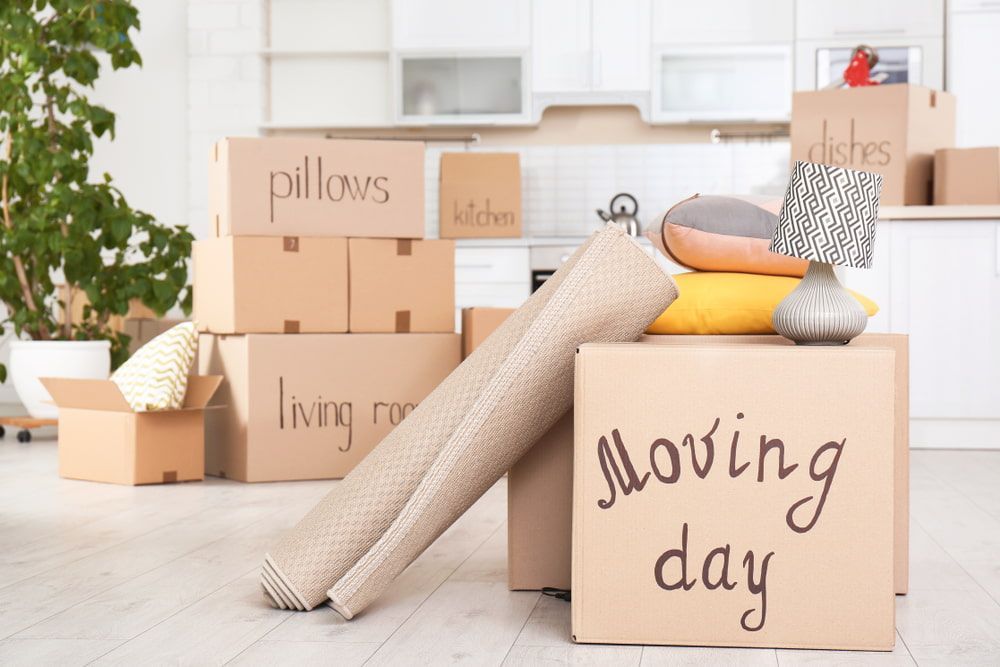 A Moving Day Sign Is On A Cardboard Box In A Living Room — Newcastle Moving & Storage in Cessnock, NSW