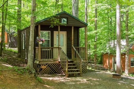 Small cabin in woods with porch and steps, surrounded by trees.