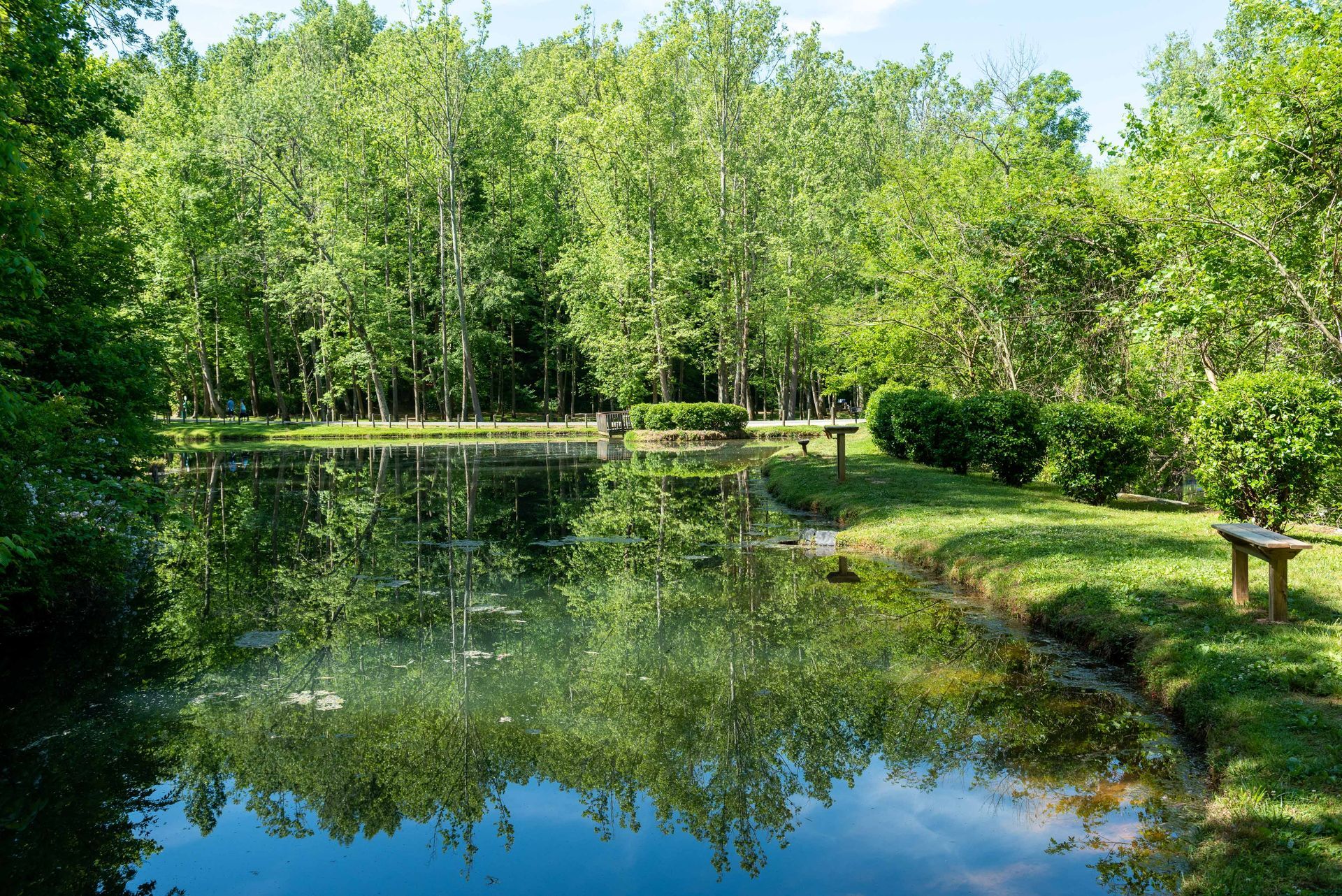 pond
