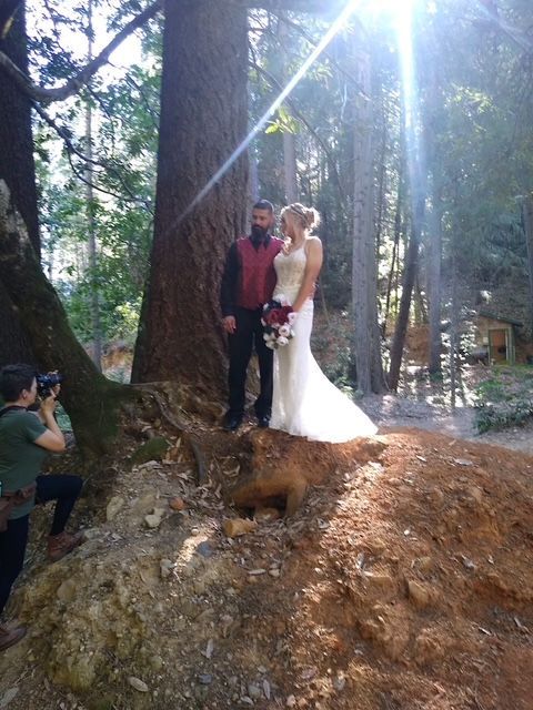 Couple posing on a tree stump in a sunlit forest, with a photographer nearby.