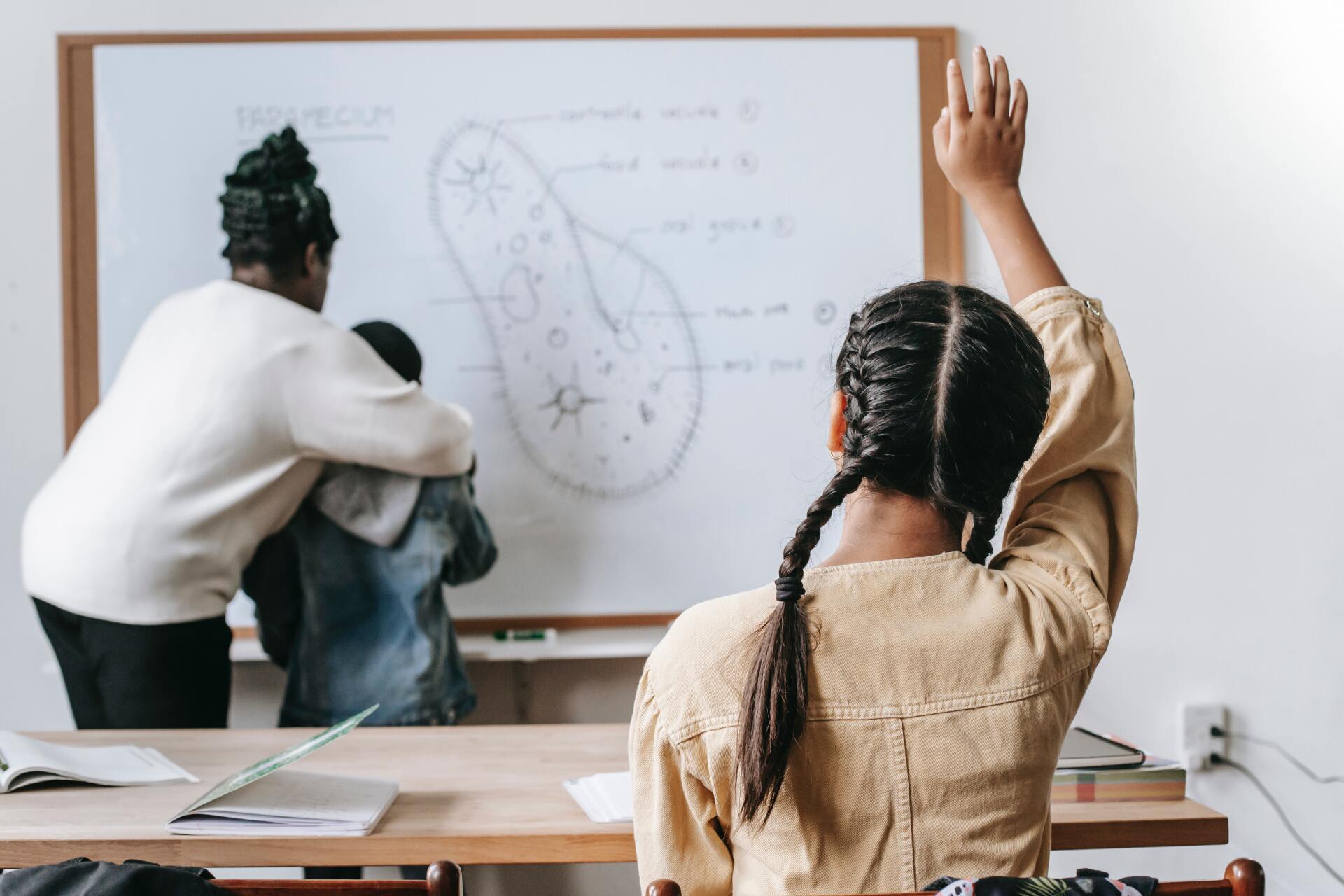 Girl raising hand in classroom, teacher assisting student near whiteboard diagram.