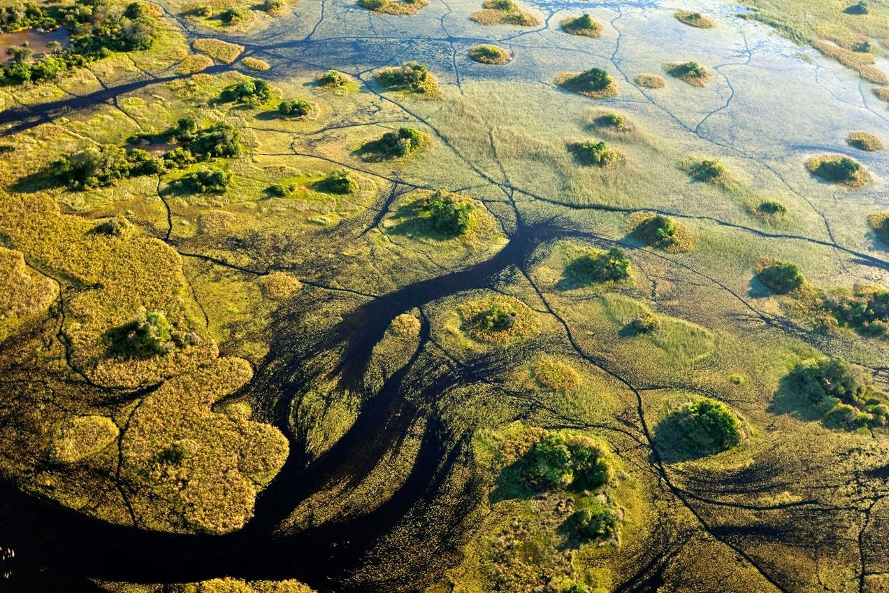 Aerial view of the Okavango Delta, showing winding dark waterways flowing through green, grassy marshland with small islands.