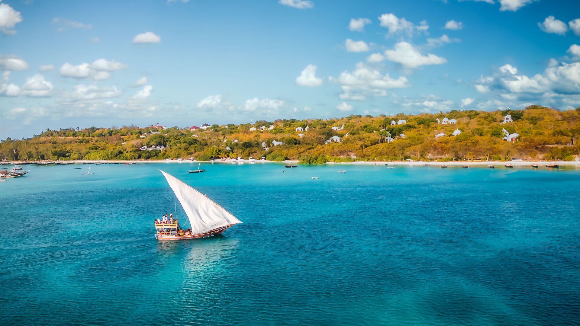 A sailboat with a white triangular sail glides across vibrant turquoise waters toward a sunny, tree-lined coastline.
