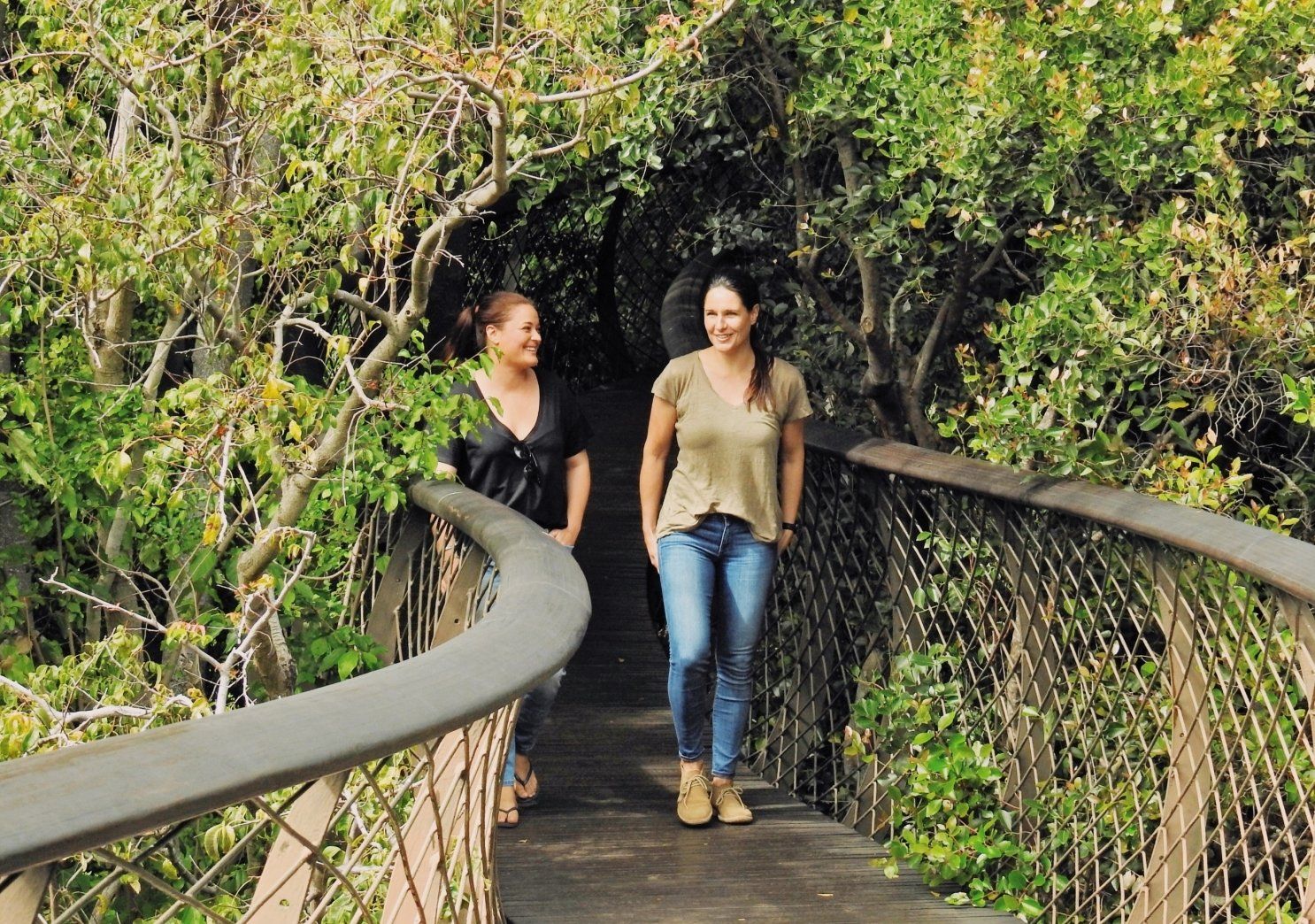 Two people walk along an elevated, curved wooden boardwalk surrounded by lush, green trees and dense forest foliage.