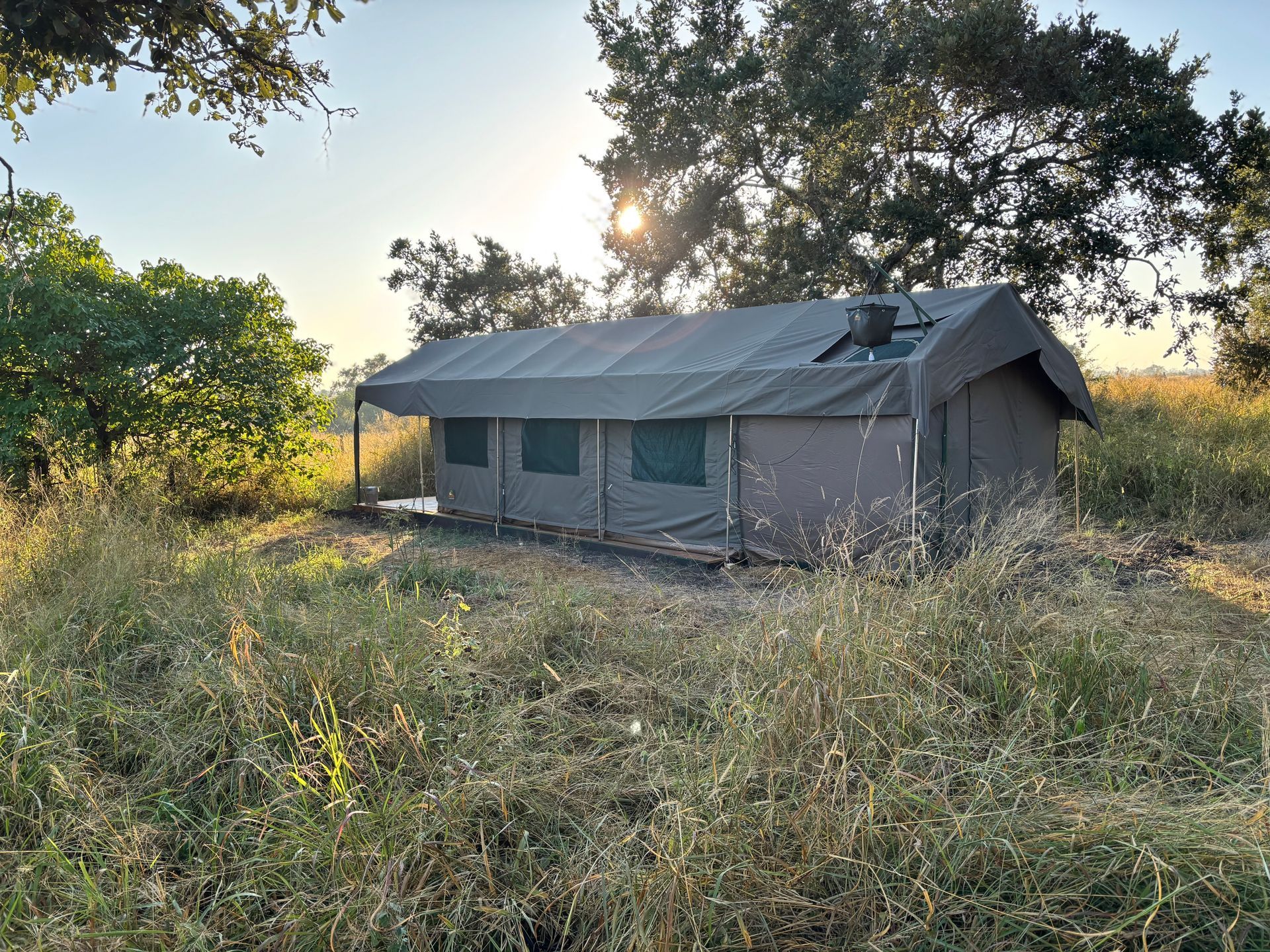 A tan canvas tent set up in a field of dry grass under trees, with the sun shining behind them.