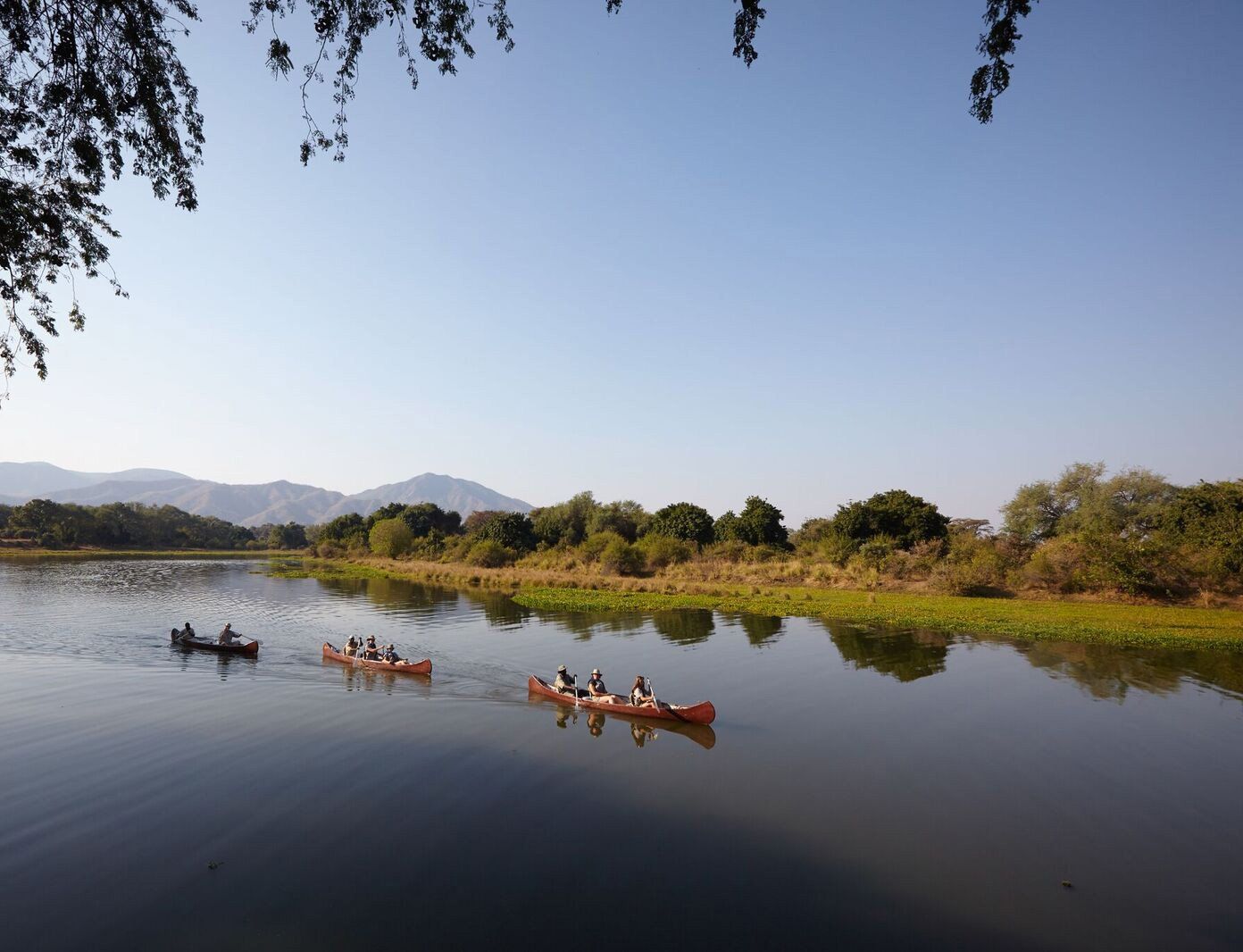 Three canoes with people paddling along a calm river, framed by trees and distant mountains under a clear blue sky.