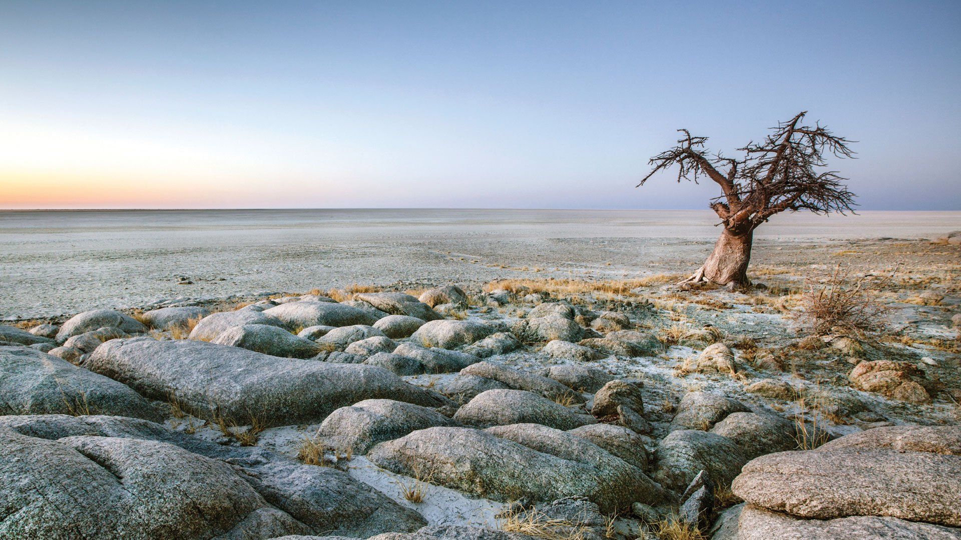 A lone, leafless tree stands at the edge of a rocky, textured shore overlooking a vast, flat, and hazy salt pan at sunset.