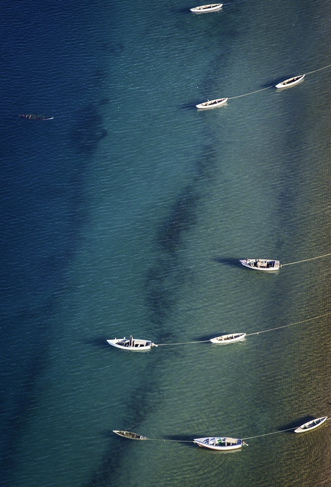 An aerial view shows several small white boats anchored in a line over clear, shallow blue water.