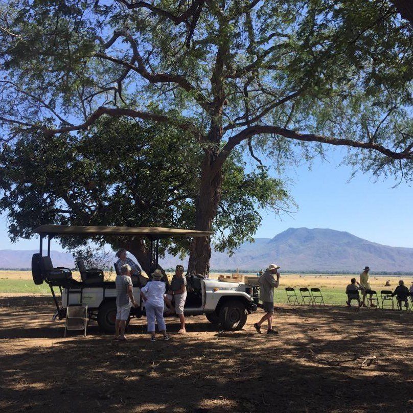 A group of people gathers near a parked safari vehicle under a large tree in an open savanna with mountains in distance.