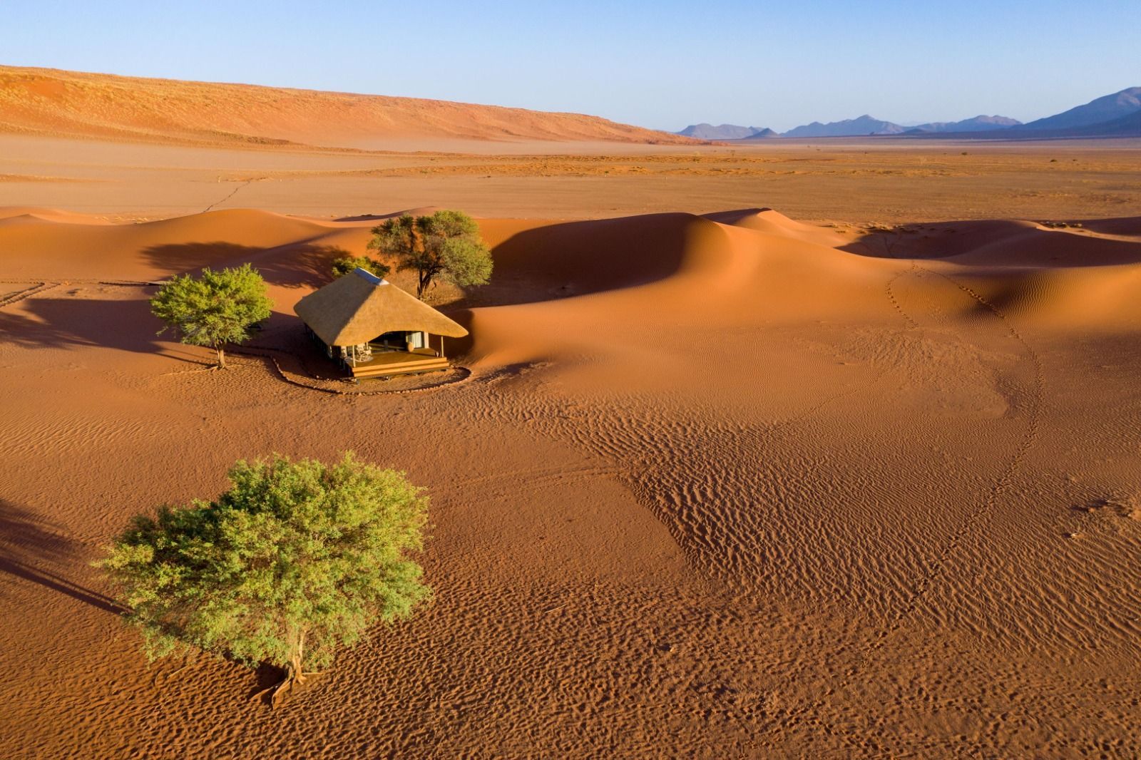A hut with a thatched roof sits among green trees in a vast, arid desert landscape with rolling orange sand dunes.
