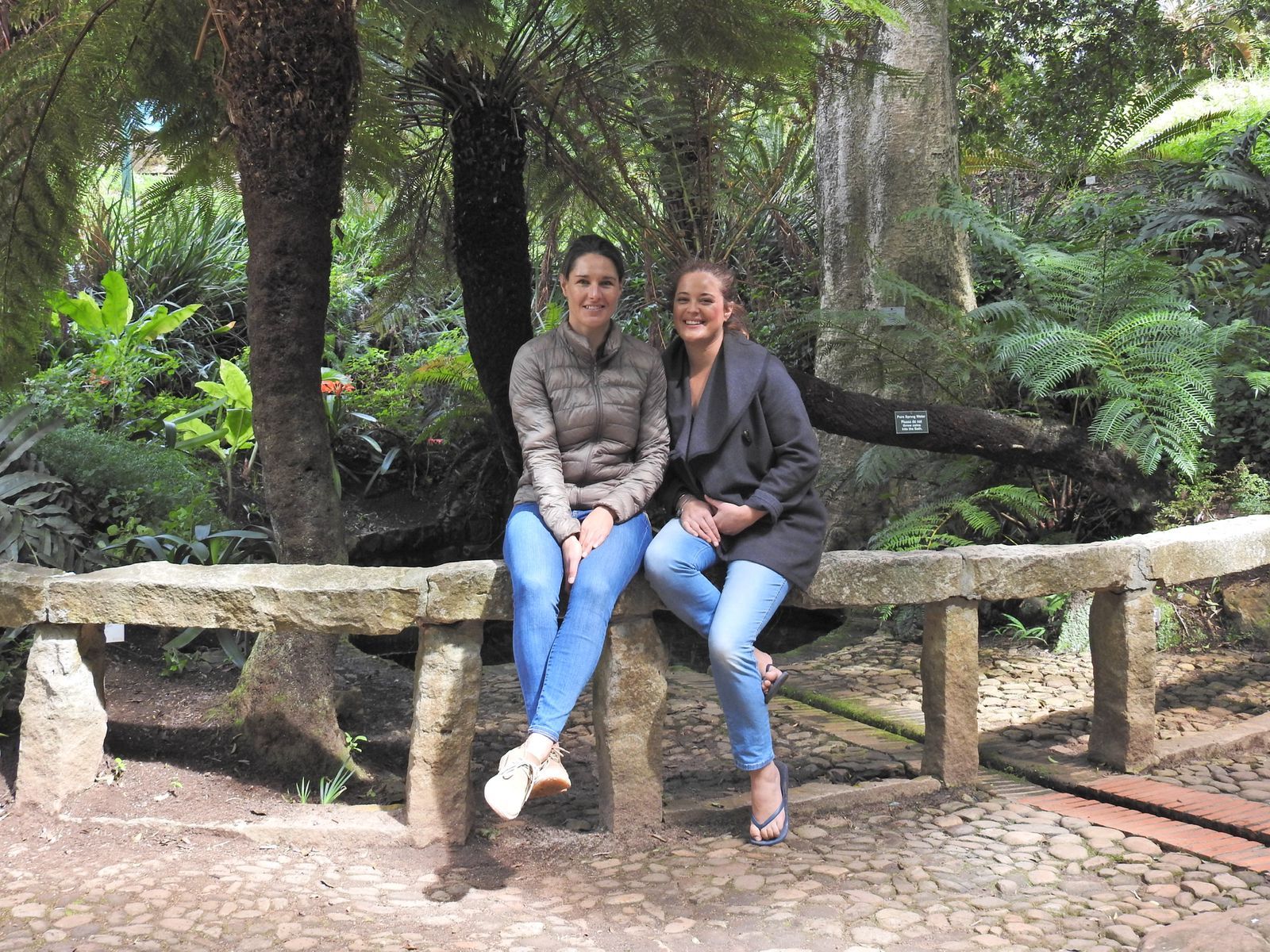Two people sitting on a rustic stone bench in a lush, green fern garden.