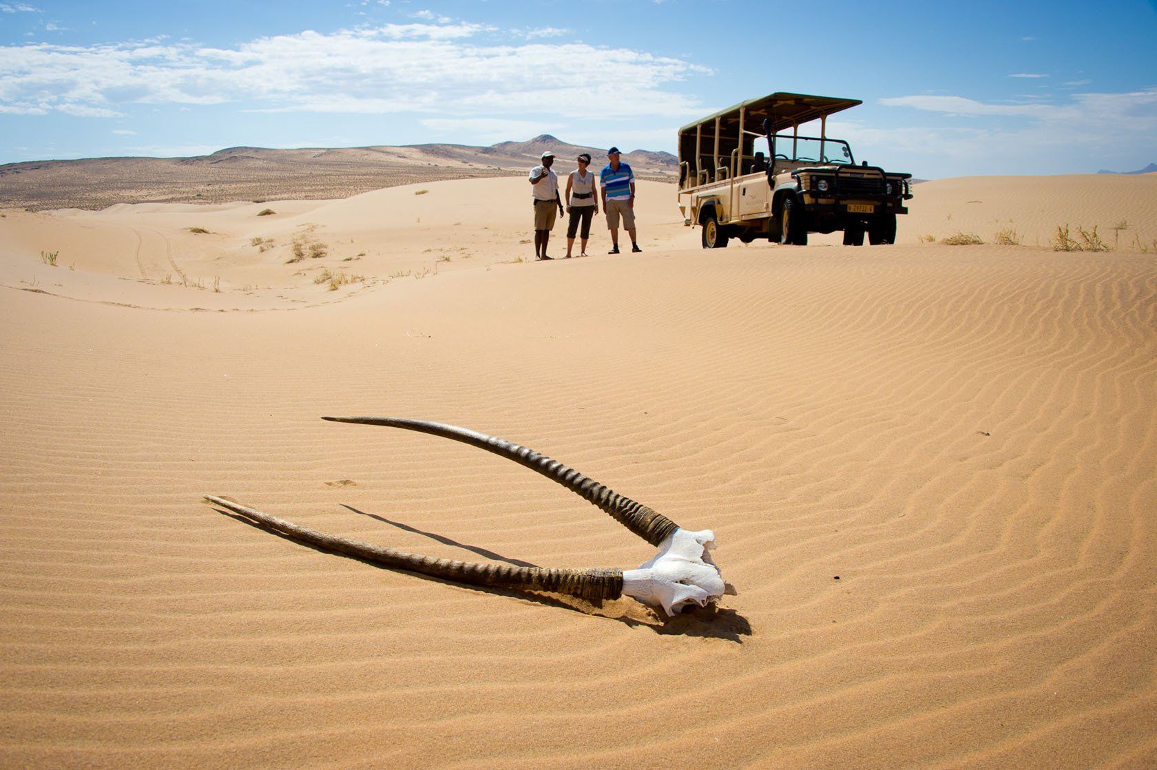 A bleached animal skull with long horns lies in the sand foreground, with three people and a safari jeep in the distance.