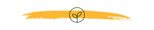 A gold, brushstroke-style horizontal line with a circular icon featuring a simple line-art sprout in the center.
