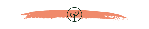 A terracotta-colored horizontal brushstroke with a circular icon containing a simple, black-outlined seedling sprout.