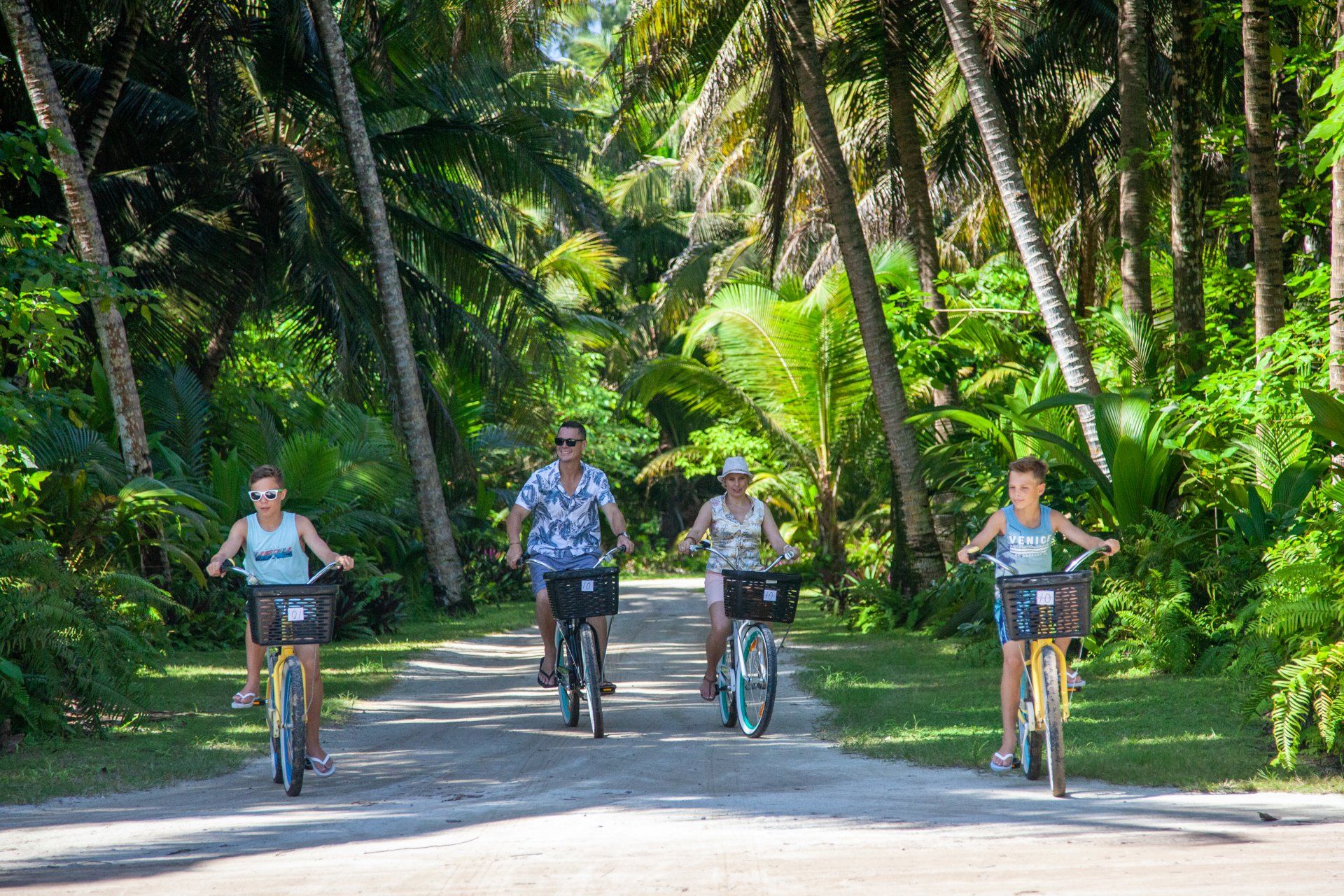 Four people ride bicycles on a sunlit dirt path lined with lush palm trees and tropical foliage.