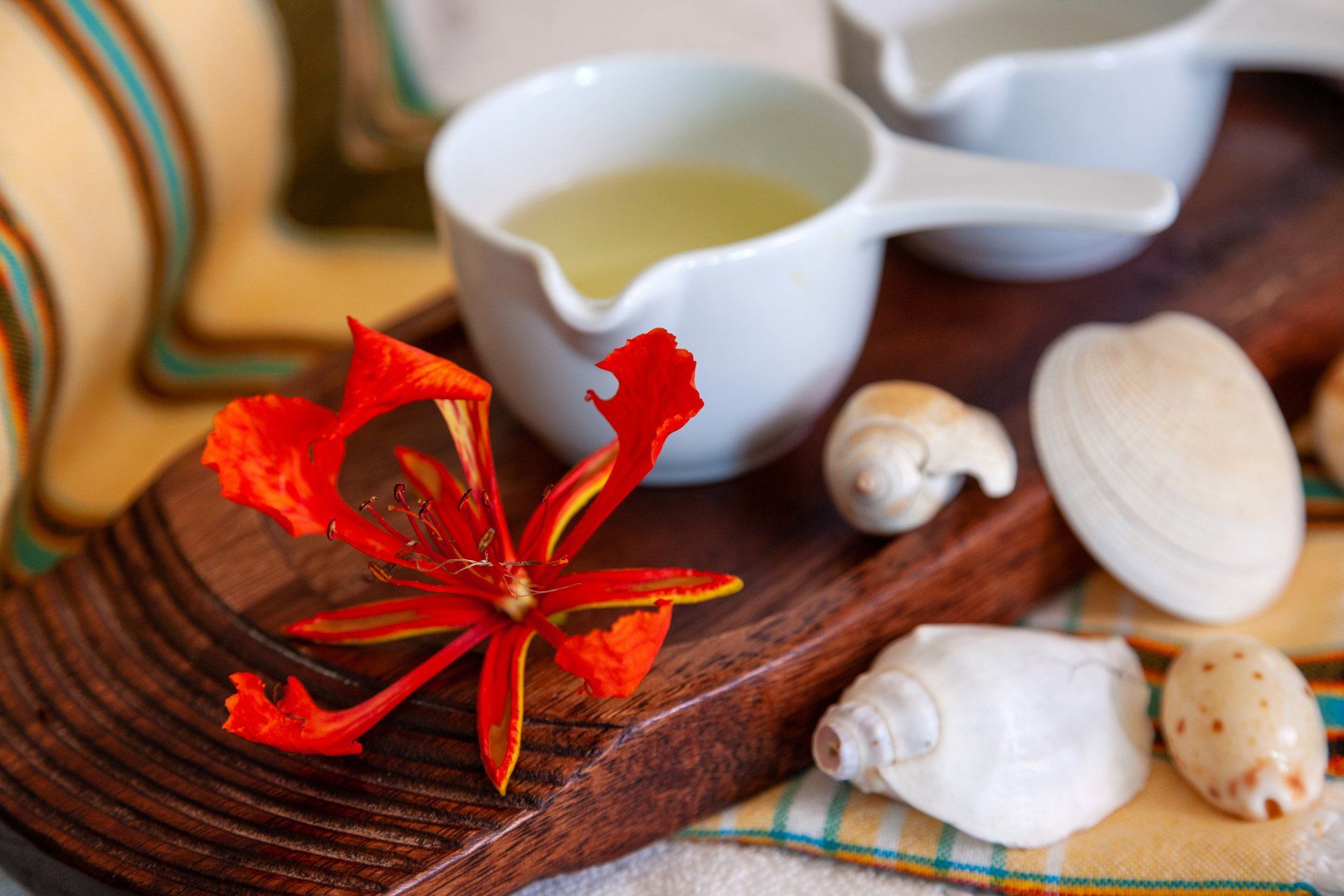 A bright orange flower rests on a wooden tray beside white ceramic bowls and various seashells.