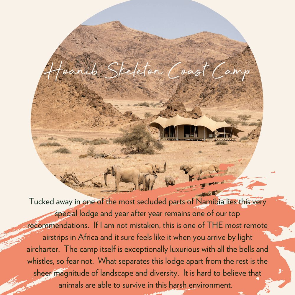 A luxurious safari camp in the desert with a group of elephants in the foreground and rocky hills in the background.