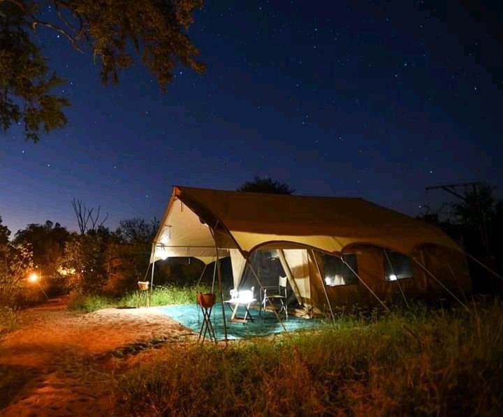 A tan safari tent illuminated from within, set against a dark starry sky over a grassy campsite at night.