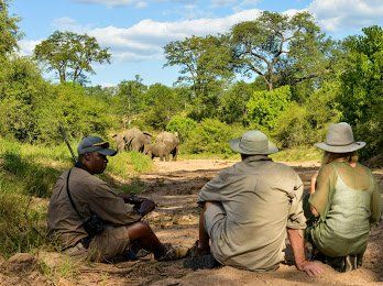 Three people sit on a dirt path in a safari landscape, observing a group of elephants in the distance.