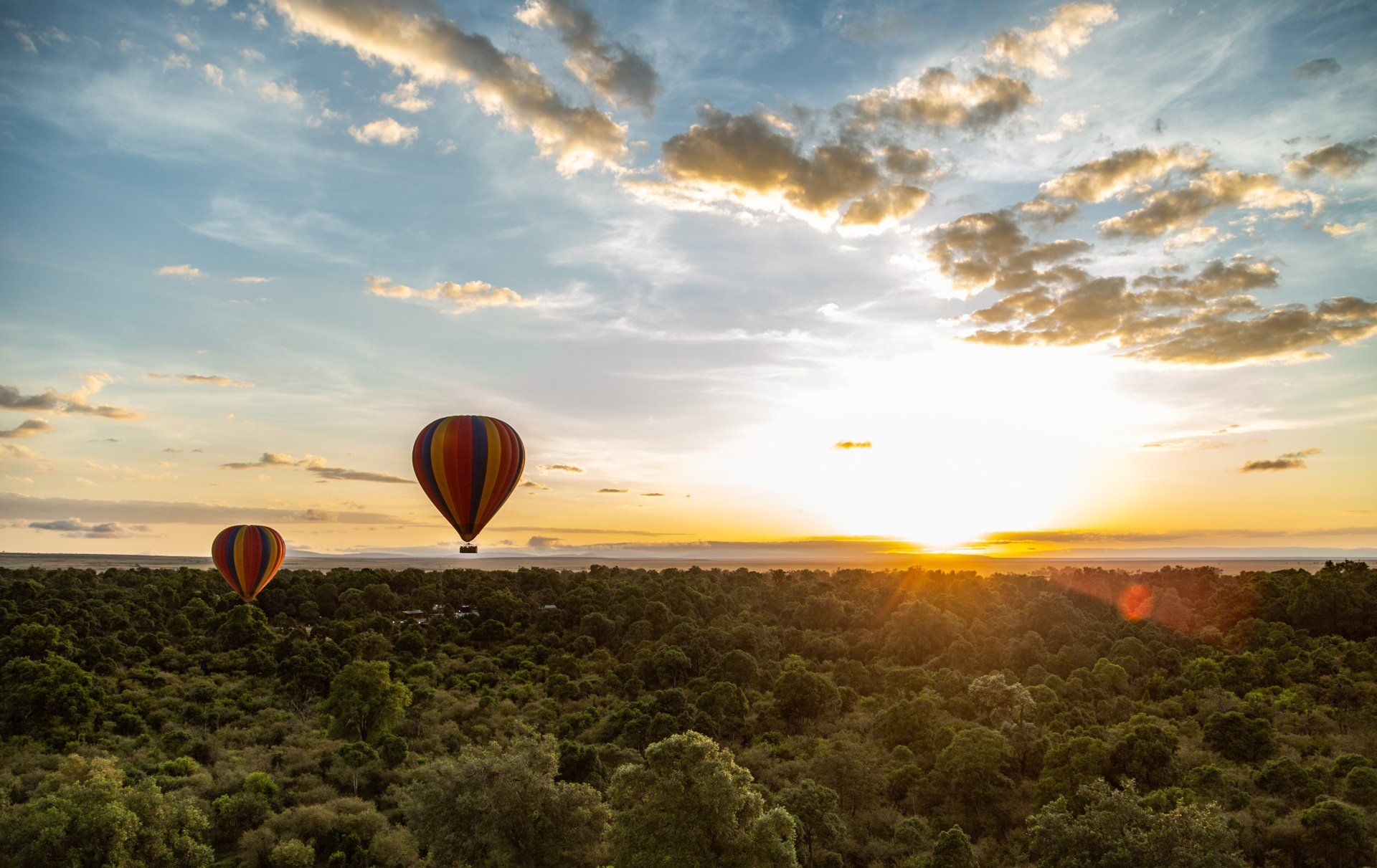 Two hot air balloons float over a lush, dark green forest during a vibrant golden sunset.