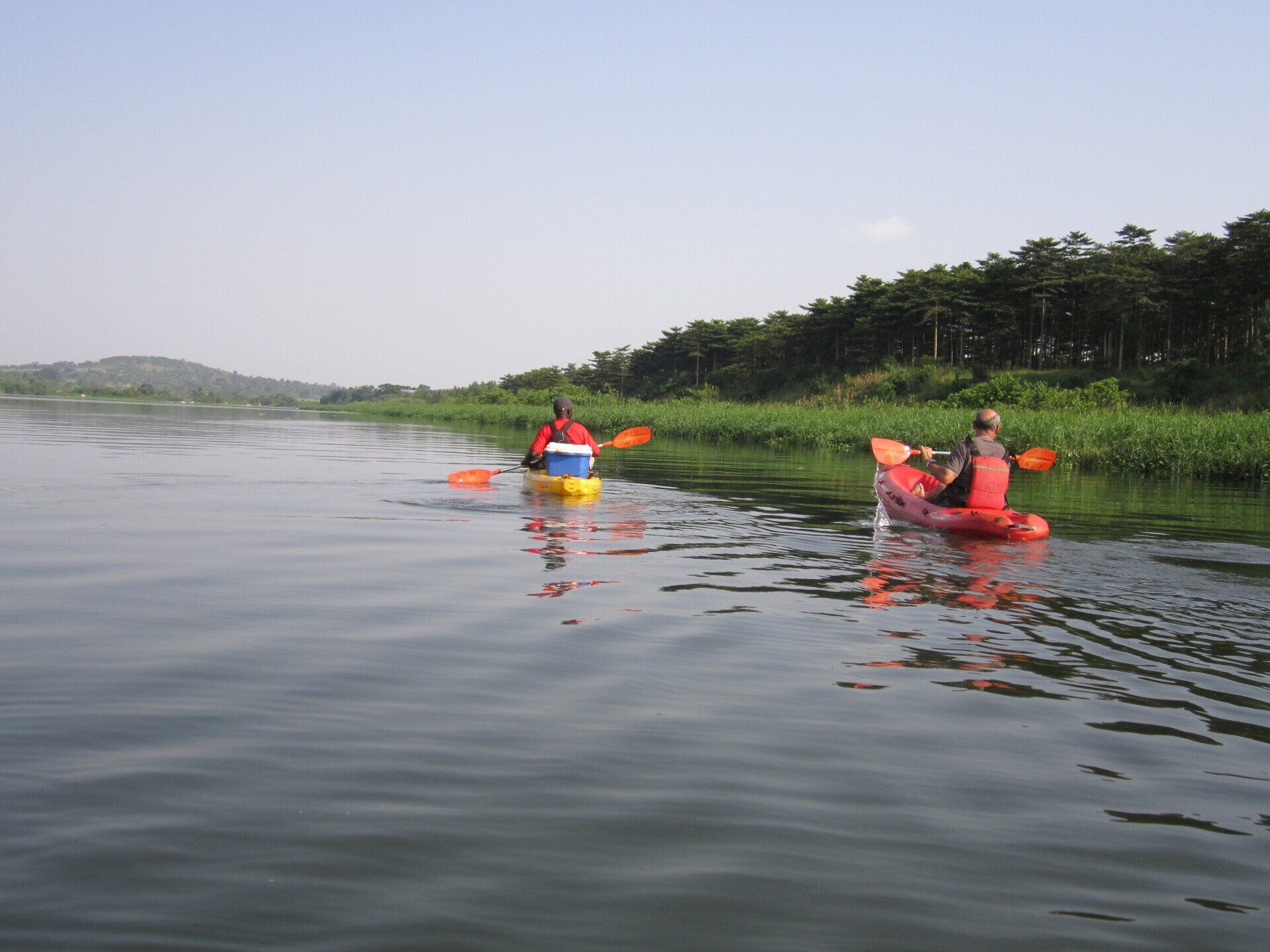 Two people kayak on a calm, wide river along a grassy bank lined with trees under a clear sky.