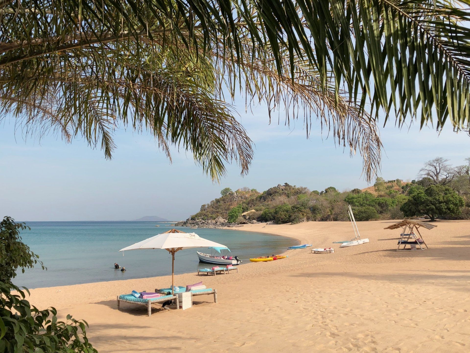 A sandy beach with lounge chairs, a white umbrella, and small boats under a palm tree canopy overlooking clear blue water.