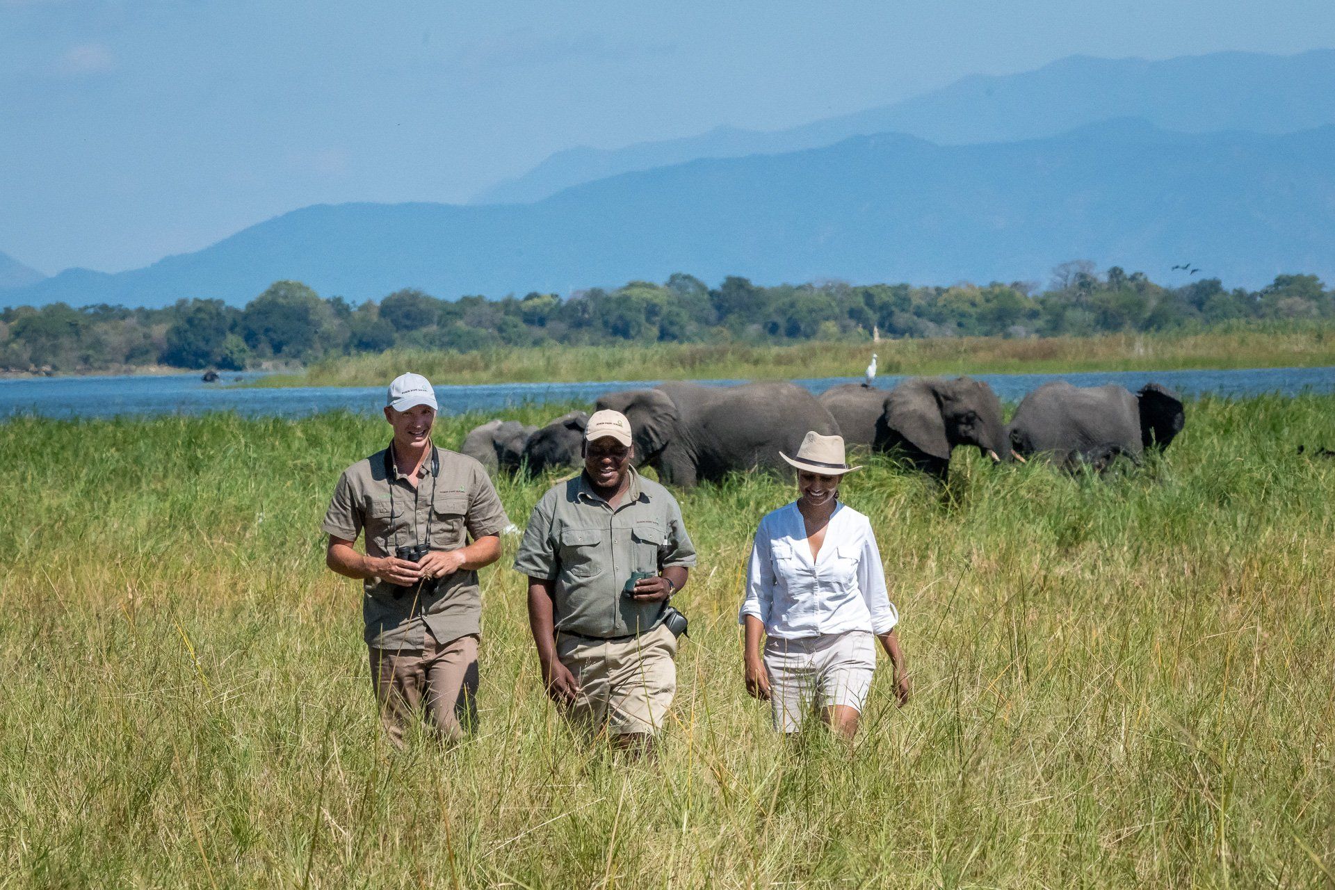 Three people walk through tall grass in a savanna setting with a herd of elephants and distant mountains in the background.