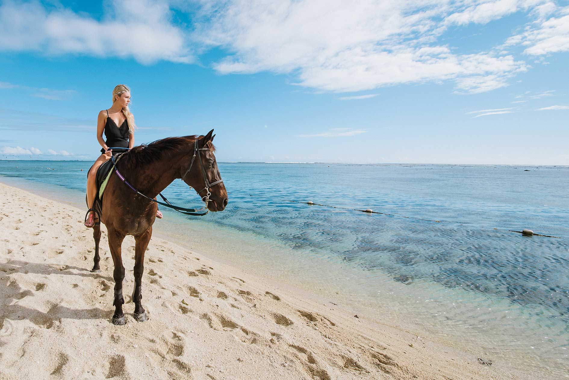 A person sits on a brown horse on a sandy beach, looking out over the calm, blue ocean under a bright, sunny sky.