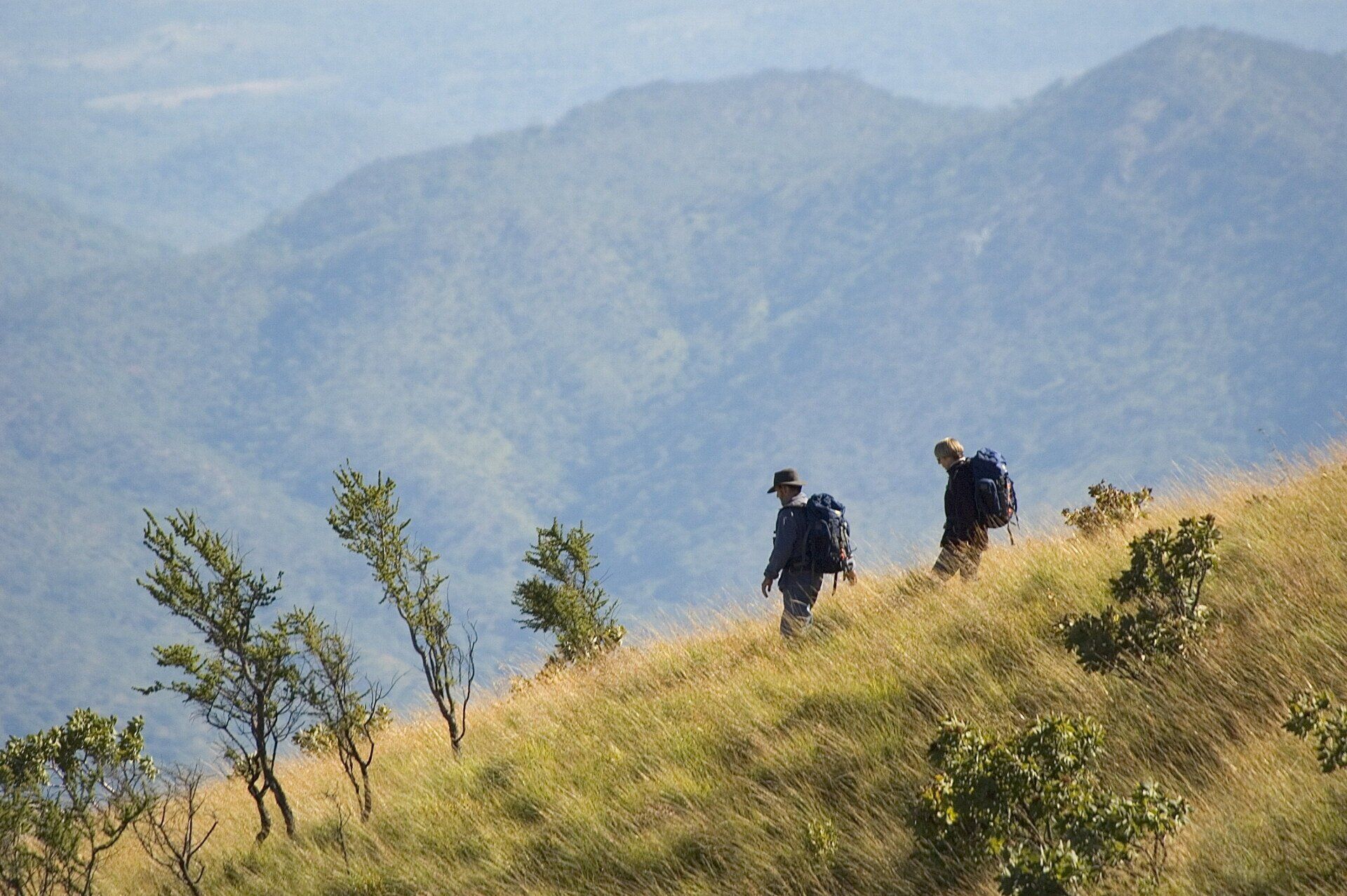 Two hikers with backpacks walk across a sunlit, grassy mountain slope with a vast range of hills in the background.