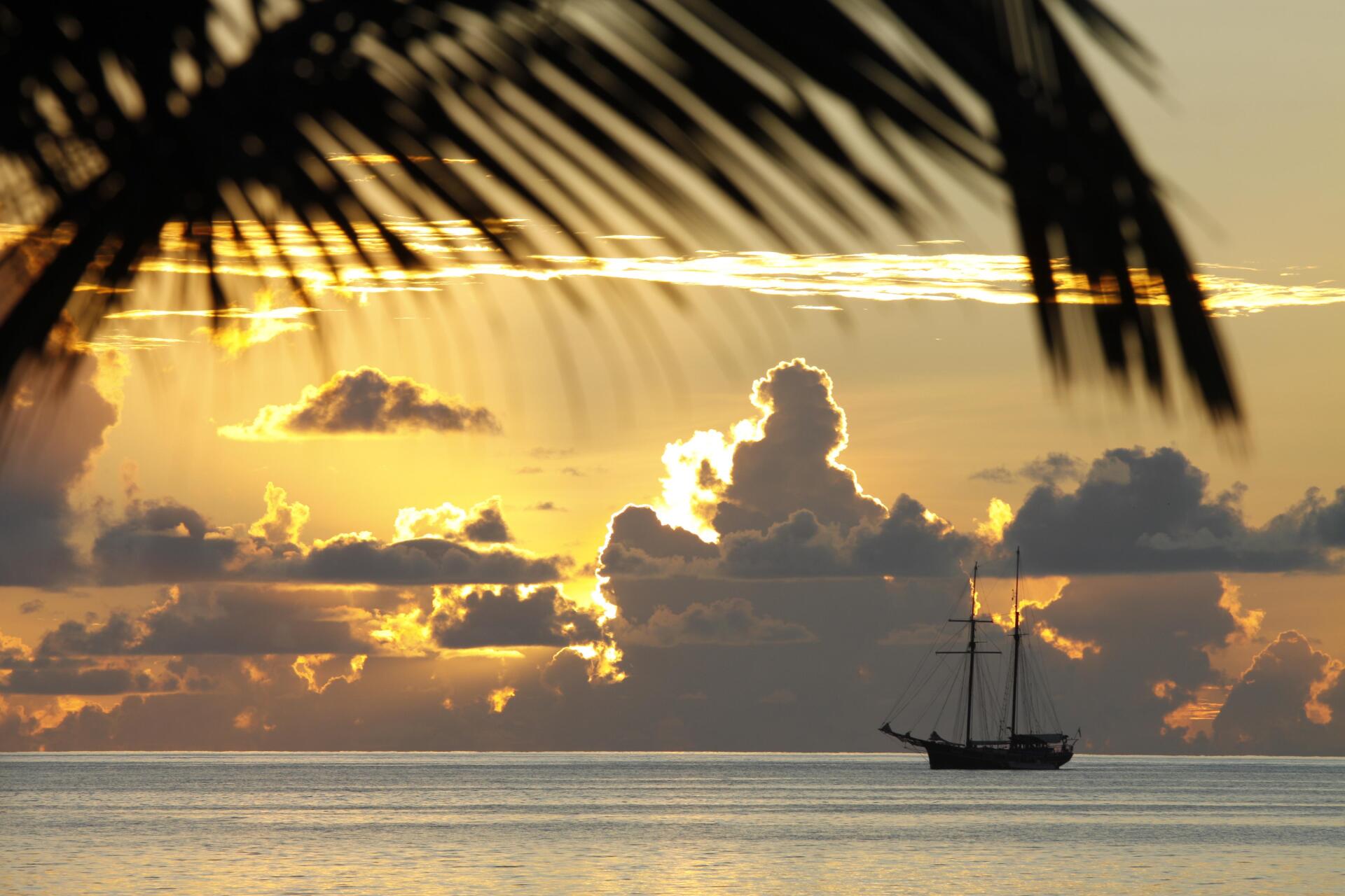 A sailboat on the horizon silhouetted against a golden sunset with palm tree fronds visible in the foreground.