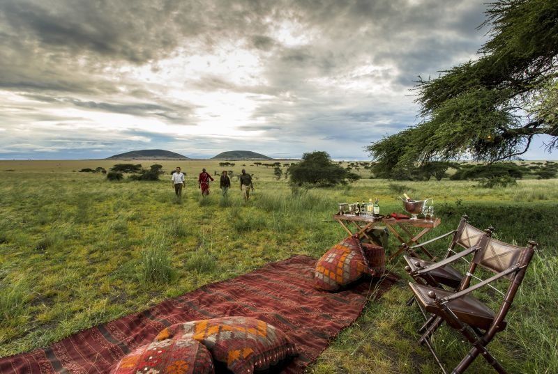 A safari picnic setup with a rug, pillows, and chairs on a savanna plain, with four people walking in the distance.