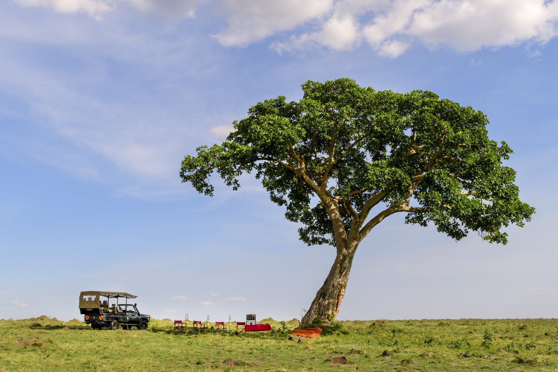 A safari vehicle parked on a grassy plain beneath a large, lone tree under a blue sky with light clouds.