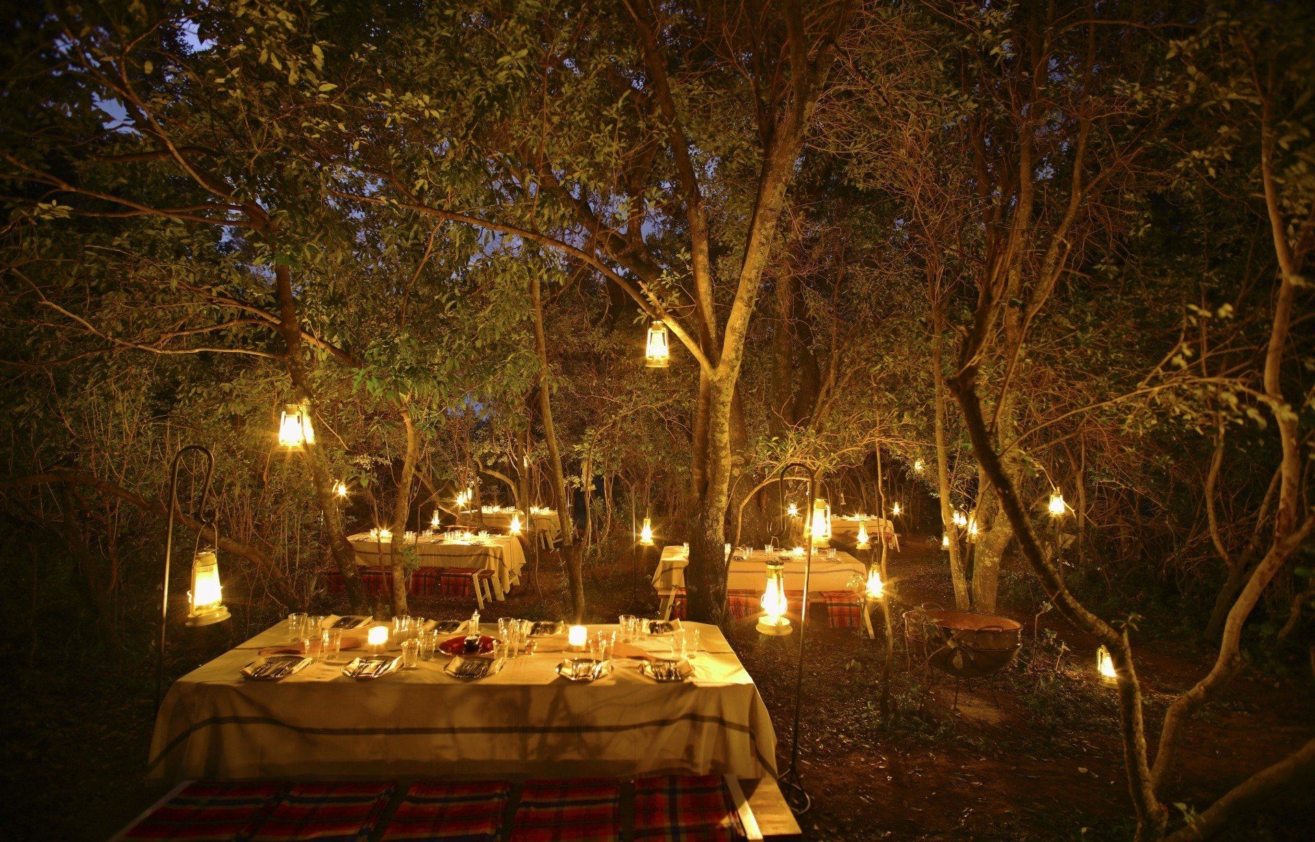 Dining tables set under trees in a forest at night, illuminated by numerous warm lanterns hanging from the branches.