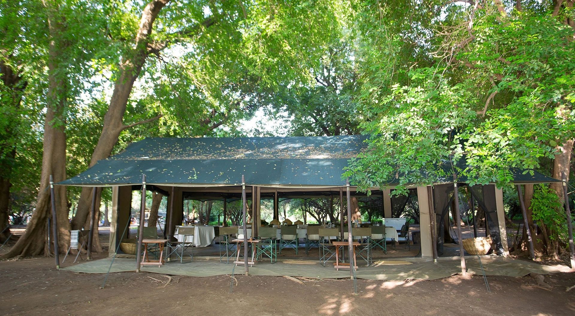 A shaded outdoor dining area with a long table set under a dark green canopy surrounded by large trees.