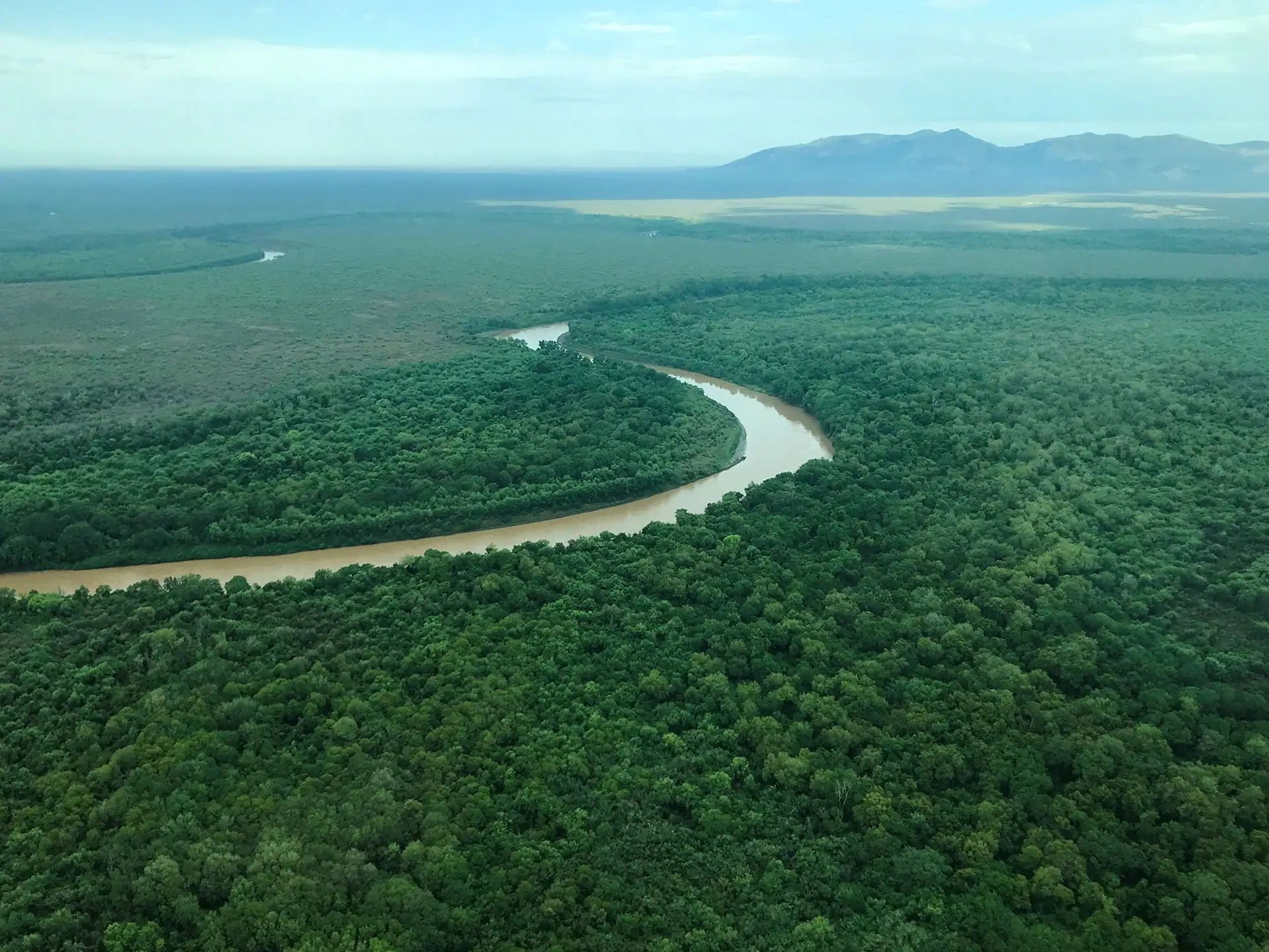 A winding, muddy river flows through a dense, vibrant green rainforest with distant mountains under a cloudy sky.