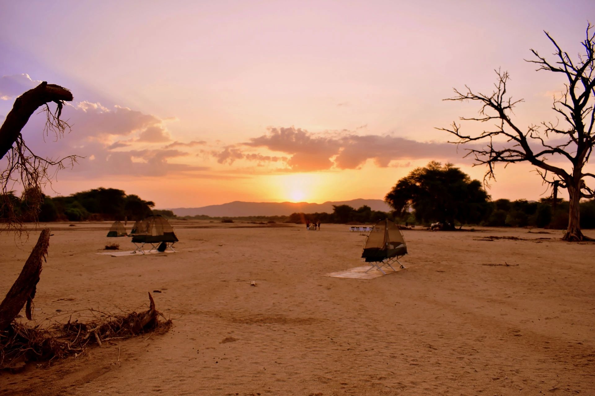 Tents set up on a flat, sandy landscape at sunrise under a soft orange and purple sky with silhouetted trees.