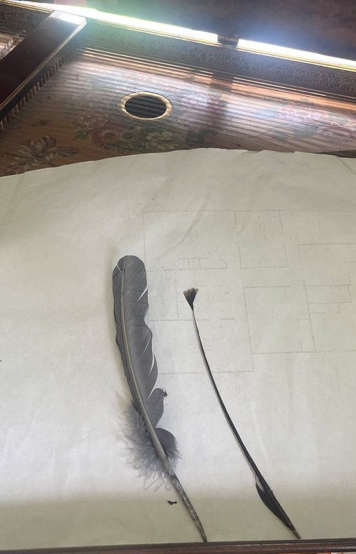 A feather is sitting on top of a piece of paper.